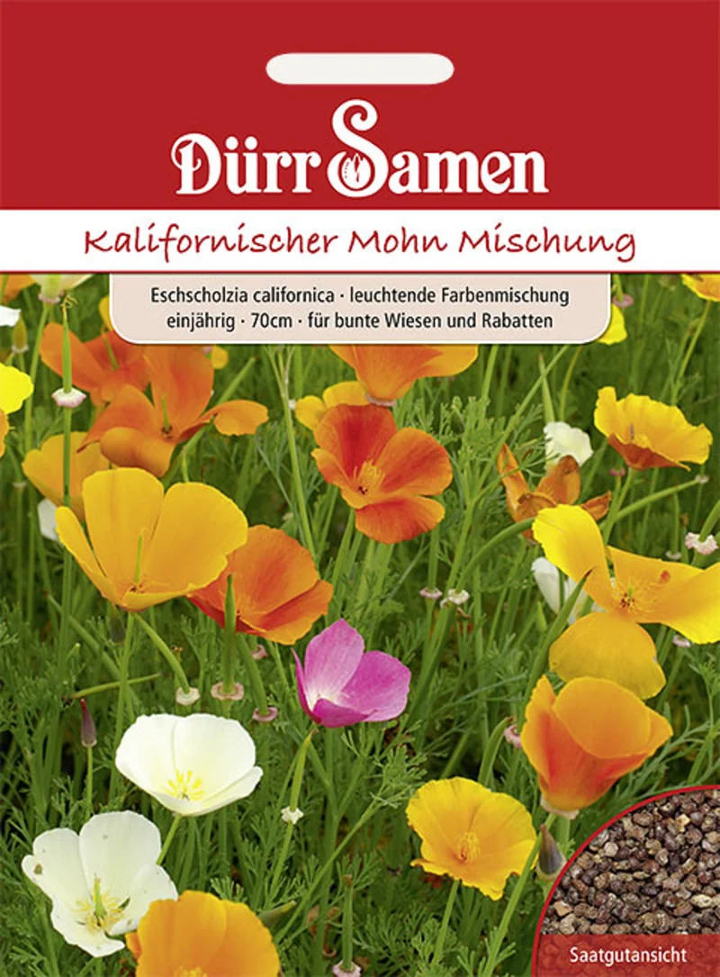Kalifornischer Mohn leuchtende Farbmischung Saatgut