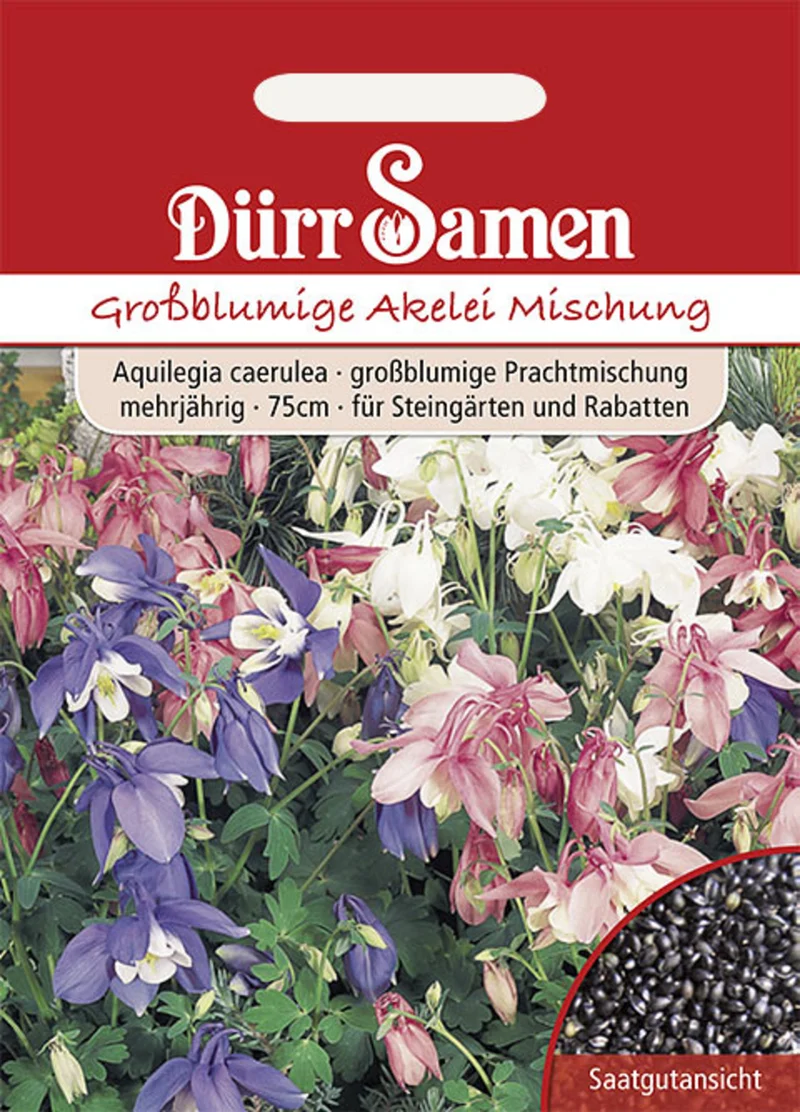 Großblumige Akelei Mischung Saatgut