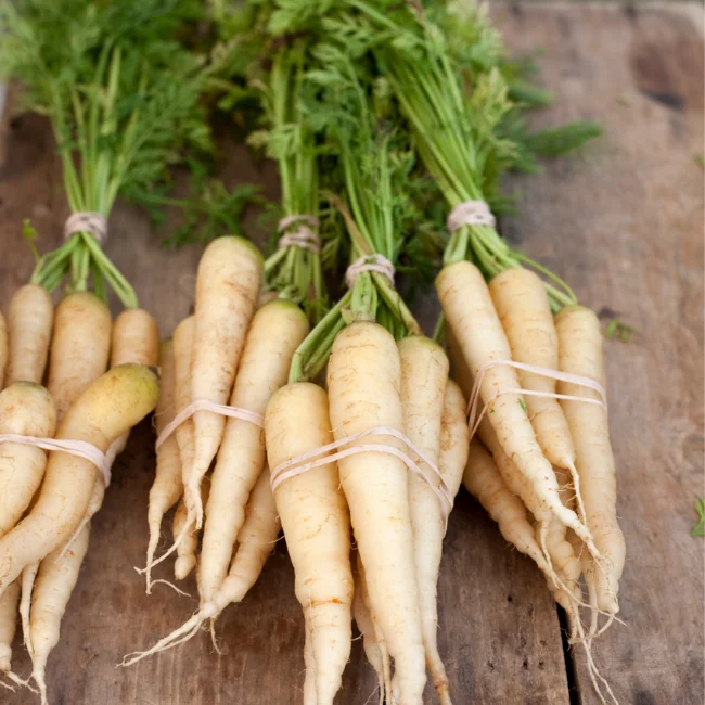 Carrot: Maruschka Organic Seed