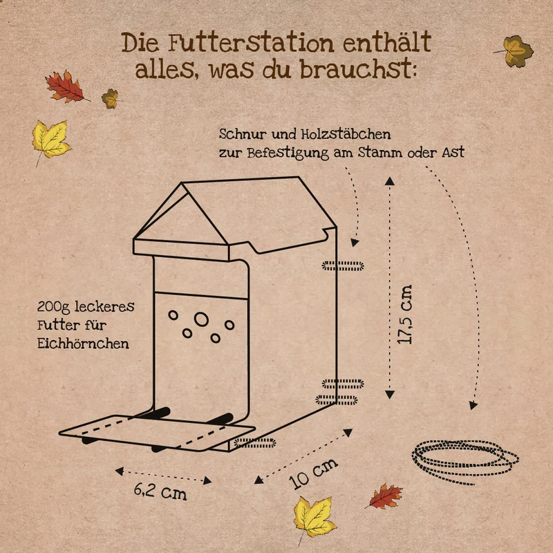 Freiluftbuffet für Eichhörnchen