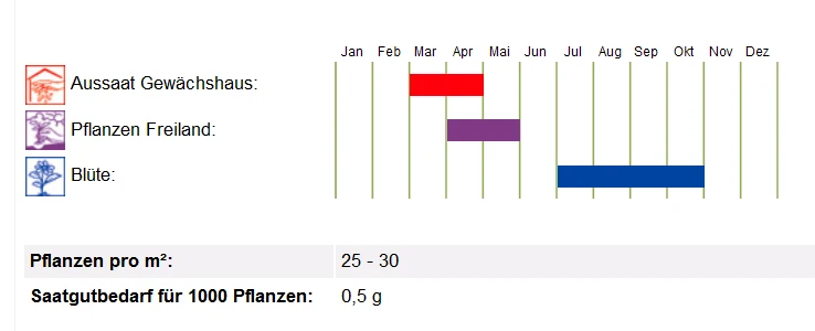 BIO Saatgut Löwenmäulchen