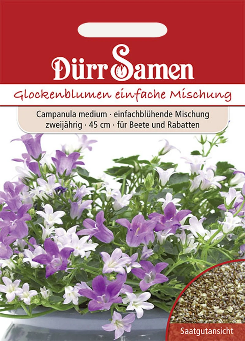 Glockenblume einfache Mischung Saatgut