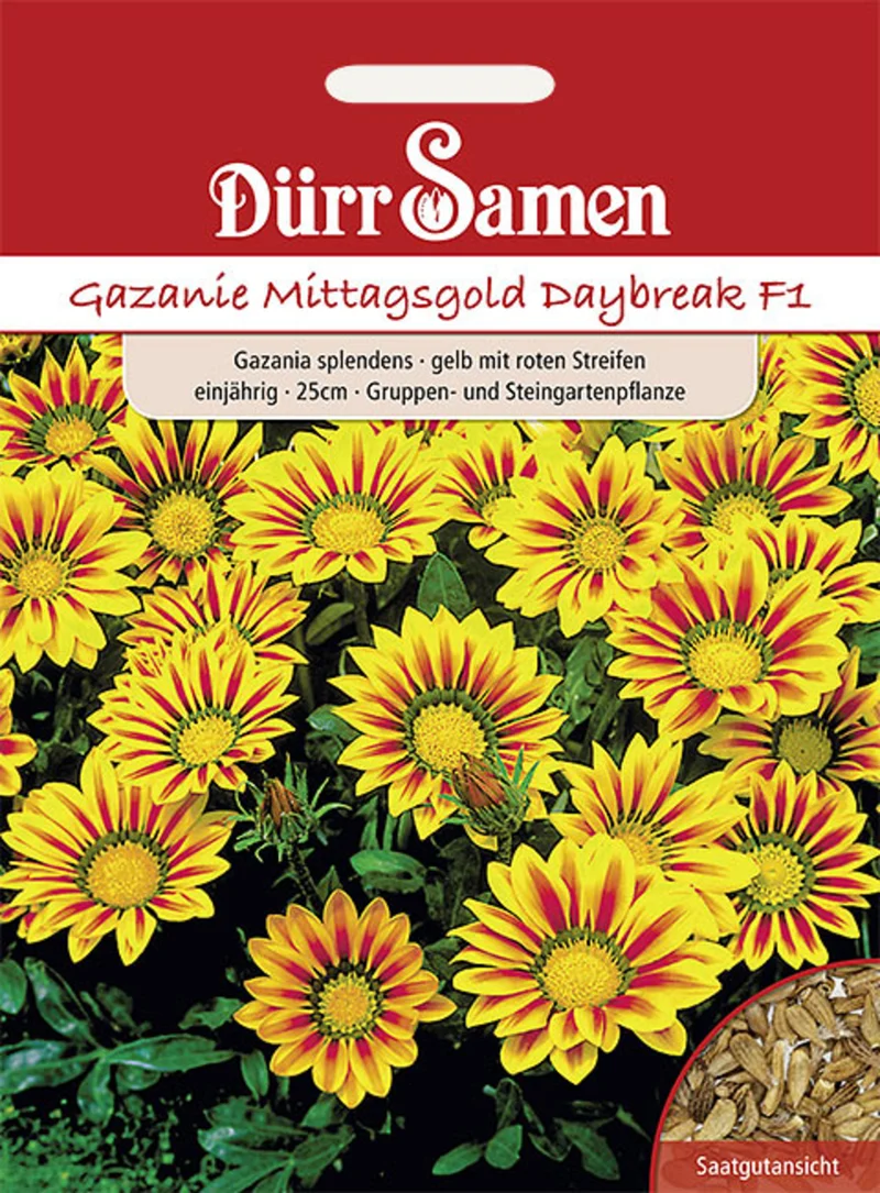 Gazanie Mittagsgold Daybreak F1 Saatgut