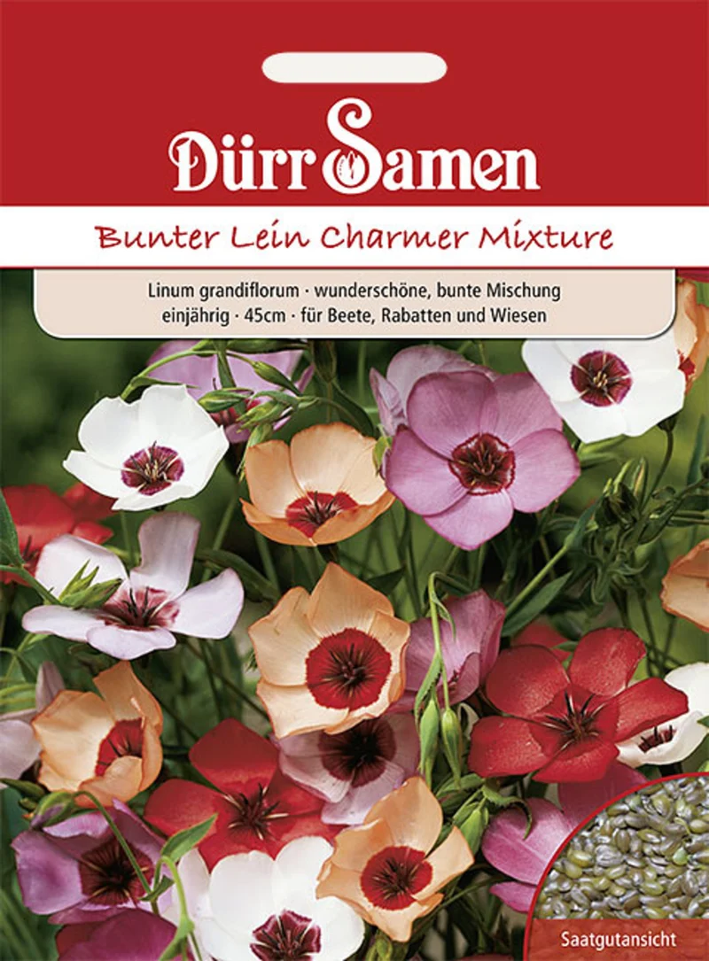 Bunter Lein Charmer Mix Saatgut