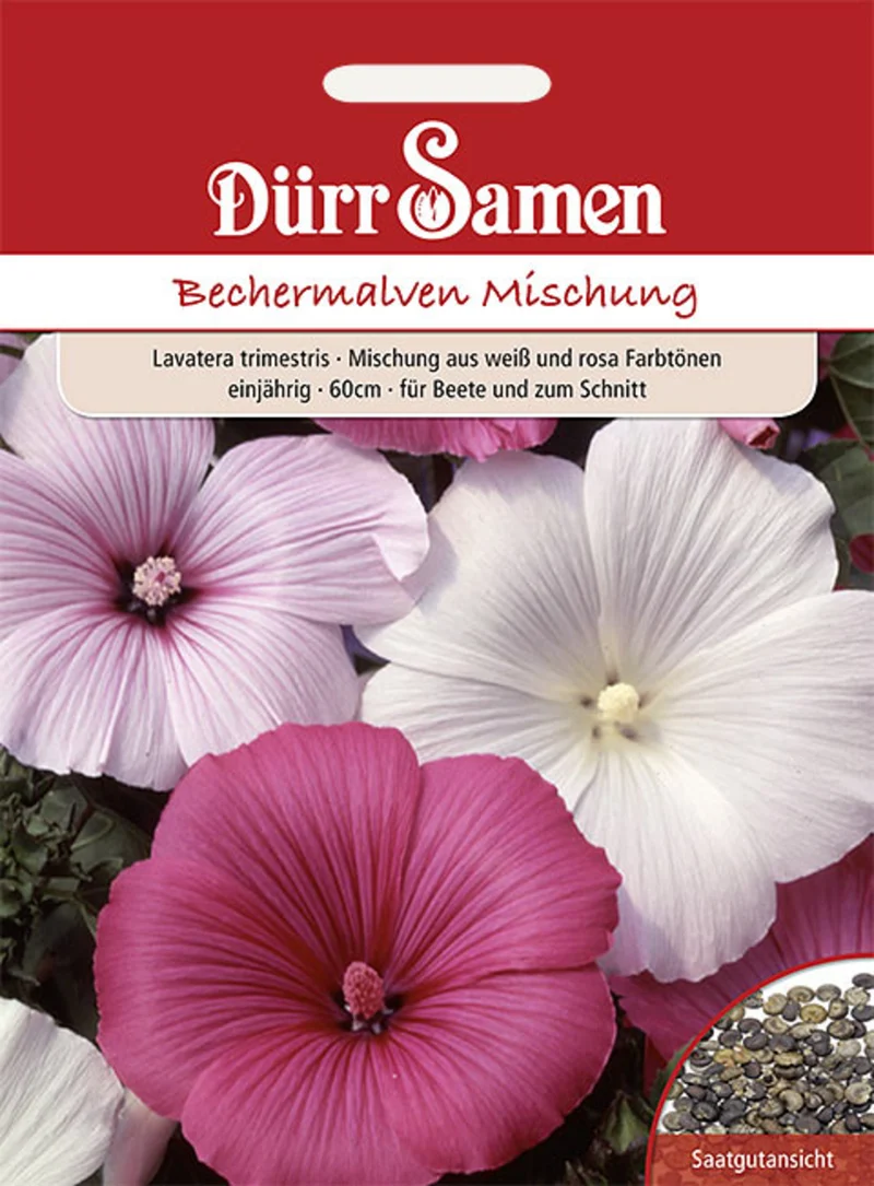 Bechermalve Mischung weiß und rosa Saatgut