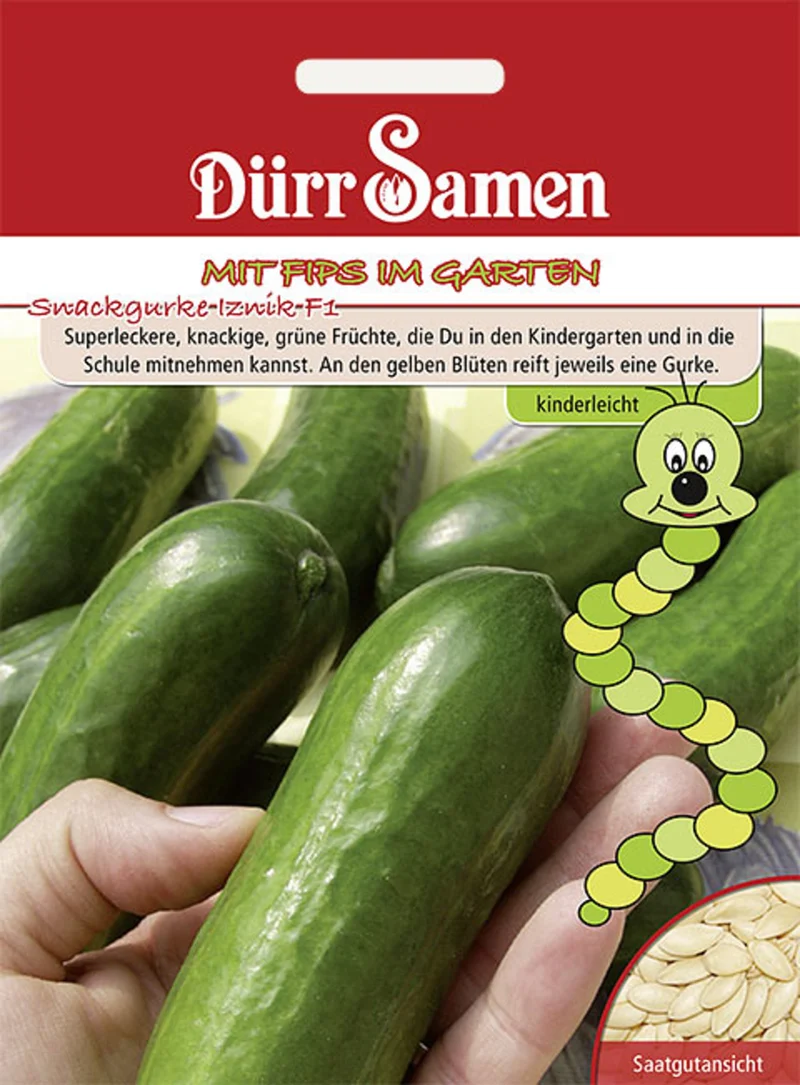 Kindersorte Snackgurken Iznik F1 Saatgut