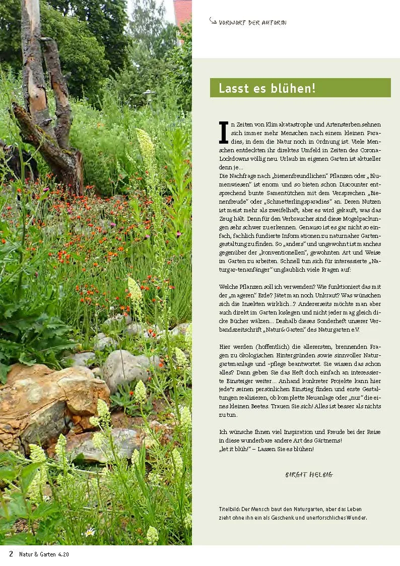 Naturgarten für Einsteiger