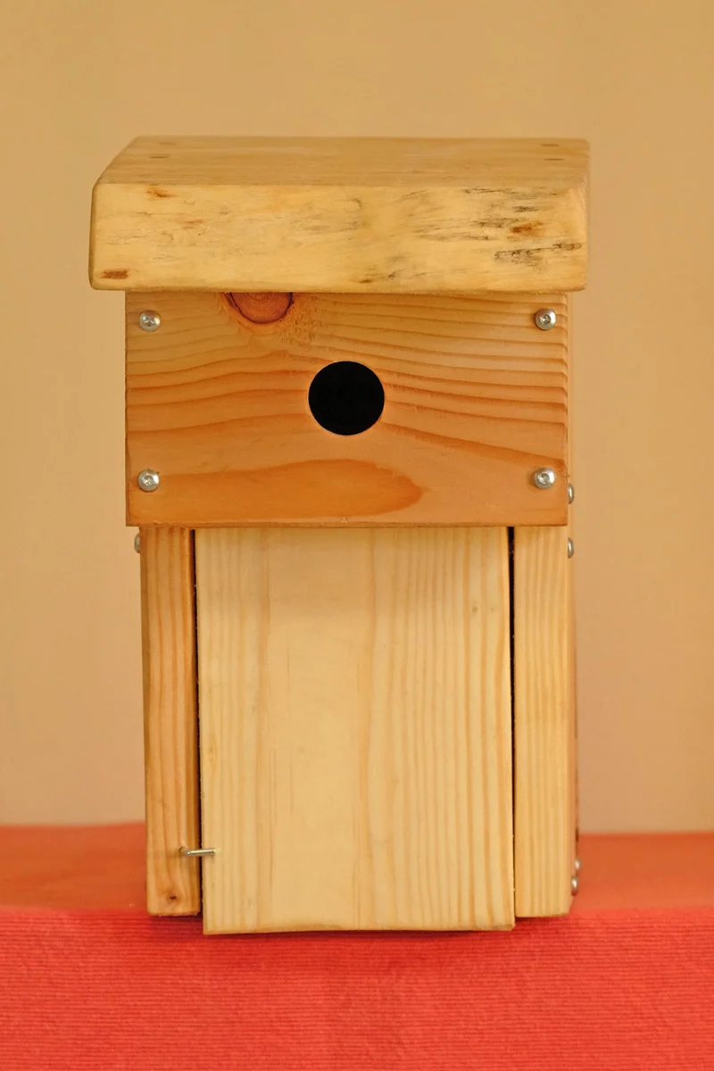 Vogelnistkasten Blaumeise