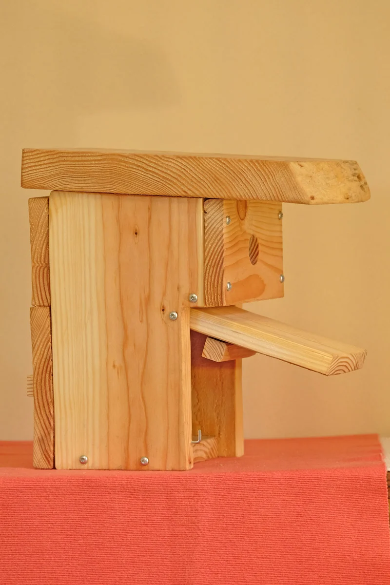 Vogelnistkasten Blaumeise
