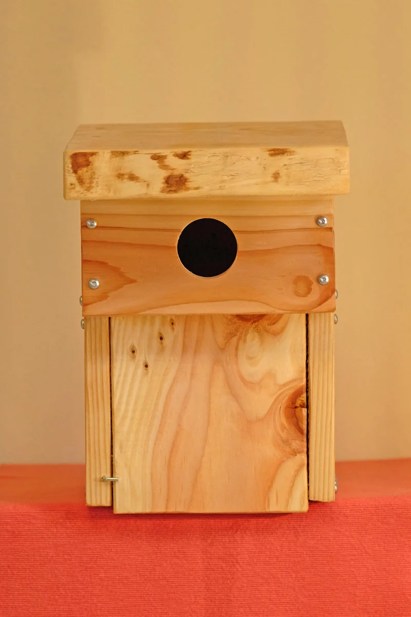 Vogelnistkasten Star