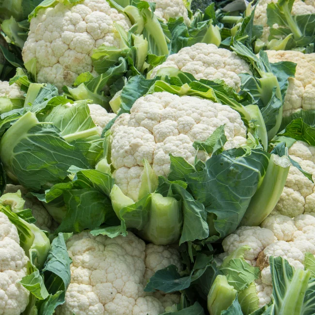 Cauliflower: Flora Blanca Organic Seed