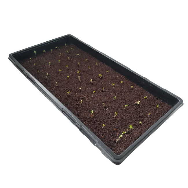 Propagation Trays For Seed Starting or Microgreens WITH Holes - 1020
