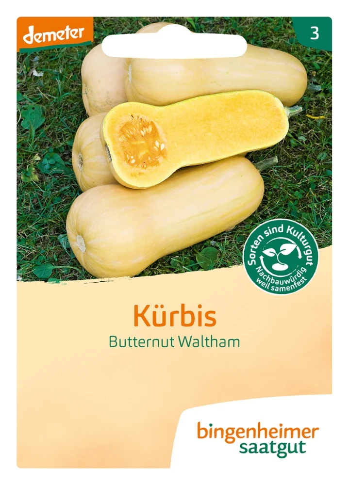 BIO Saatgut Kürbis Butternut Waltham