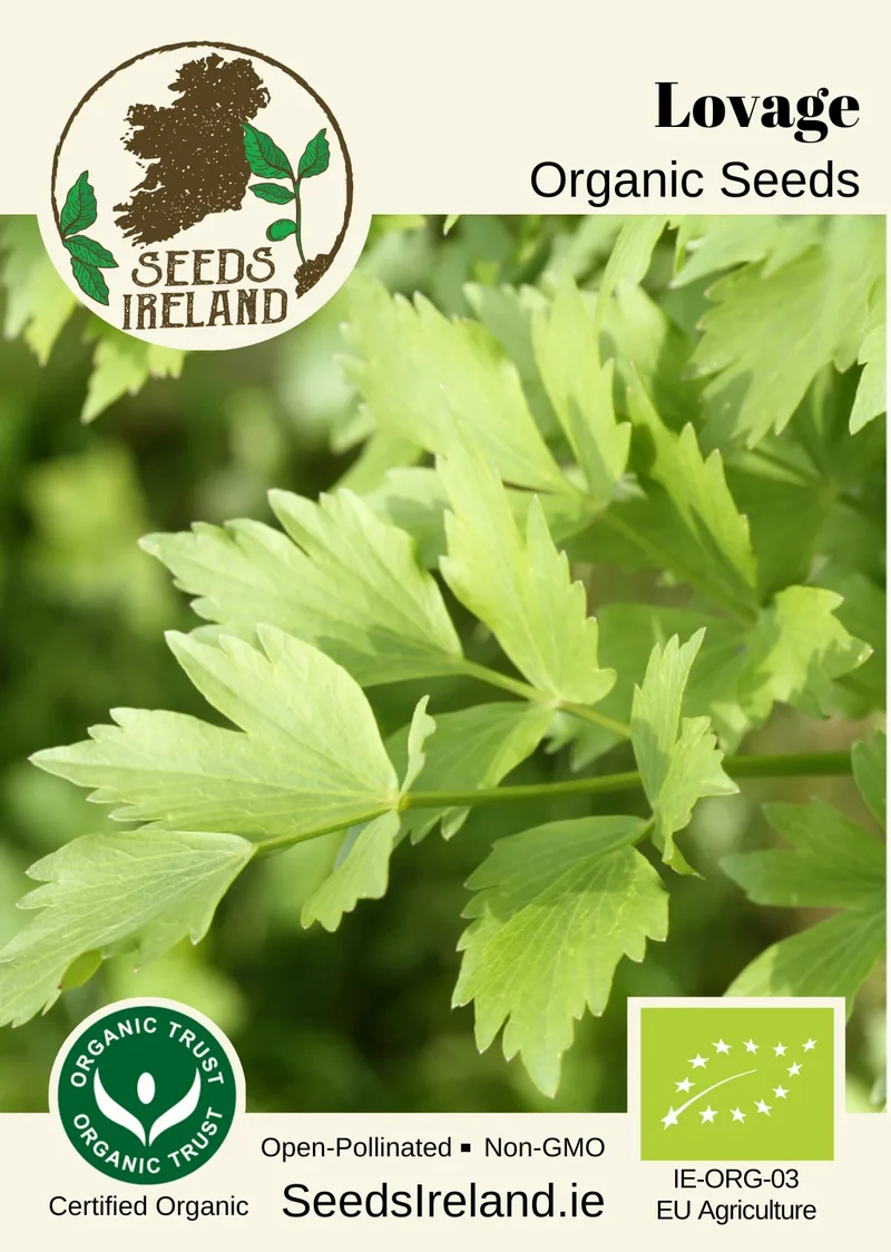Lovage Organic Seed