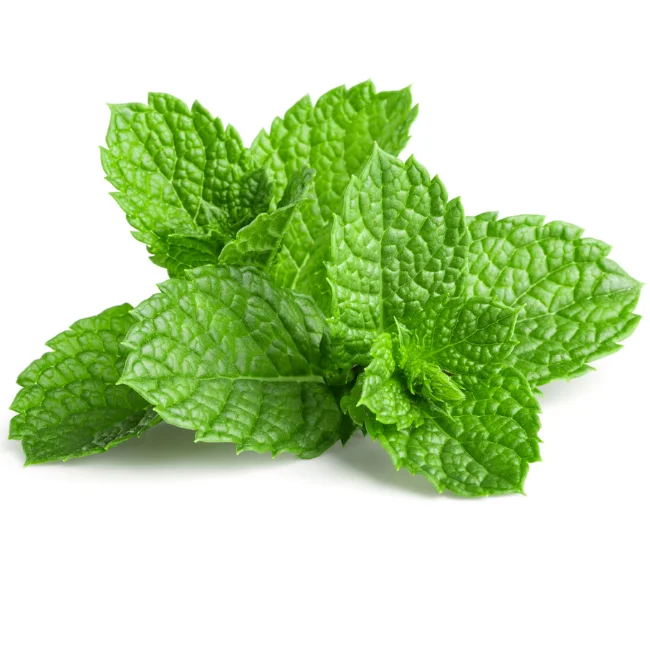 Mint: Peppermint Organic Seed