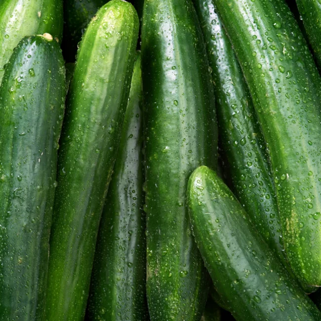 Cucumber: Telegraph Improved Organic Seed