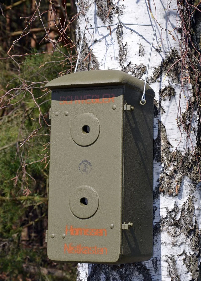 Hornissenkasten (leicht beschädigtes Einzelstück)