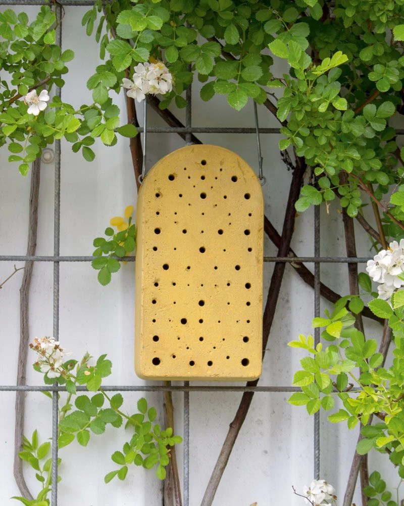 Insektennistblock