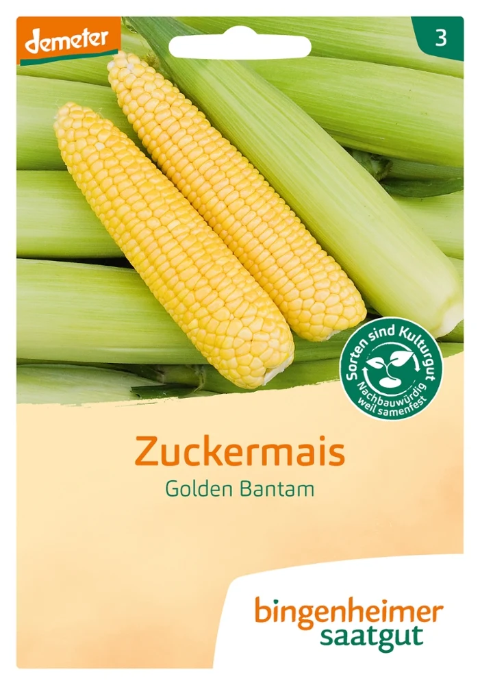 BIO Saatgut Zuckermais Golden Bantam