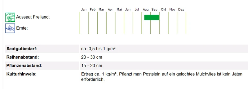 BIO Saatgut Winterpostelein