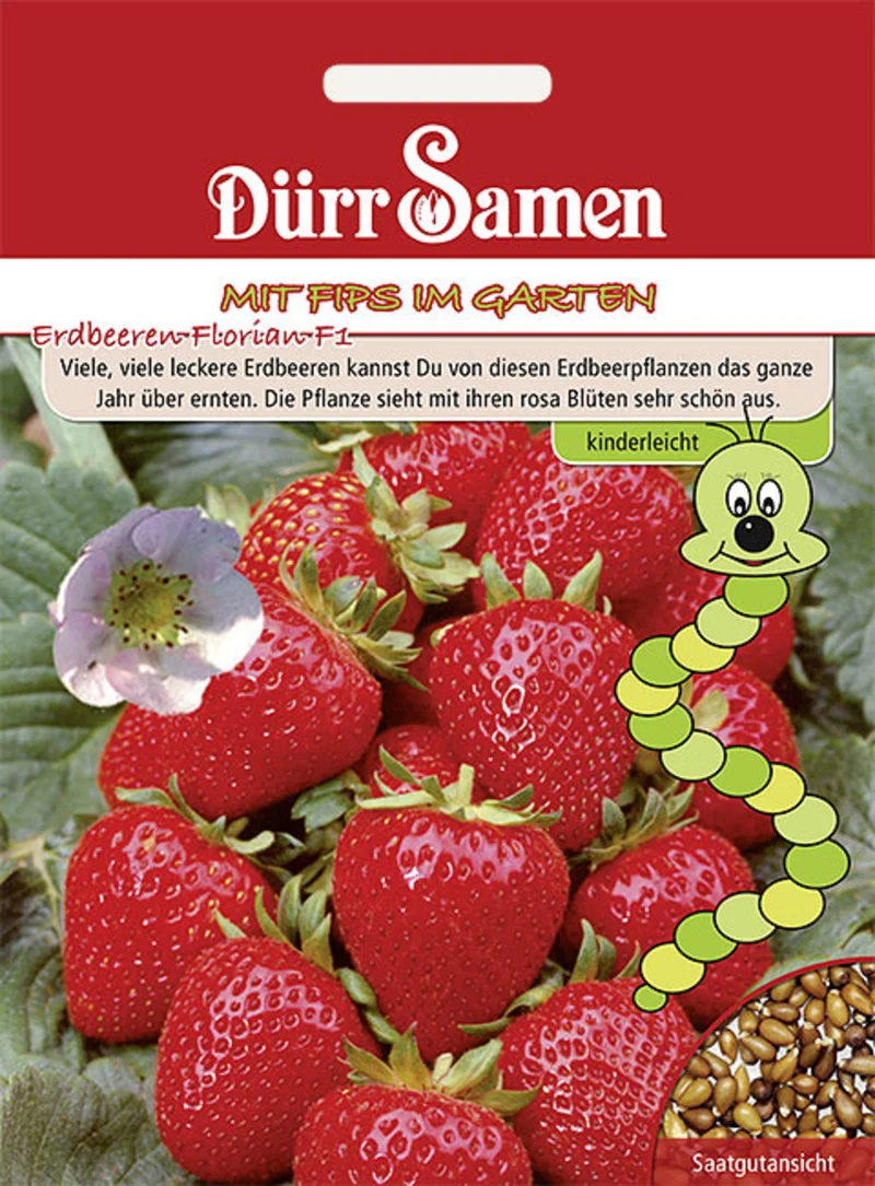Kindersorte Erdbeeren Florian F1 Saatgut