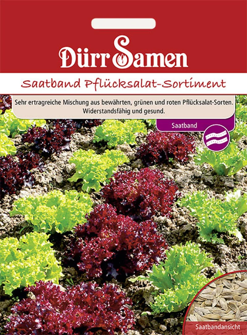 Saatband Pflücksalat Sortiment