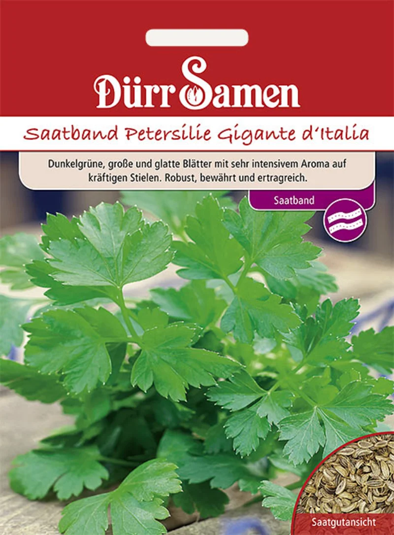 Saatband Petersilie Gigante d Italia