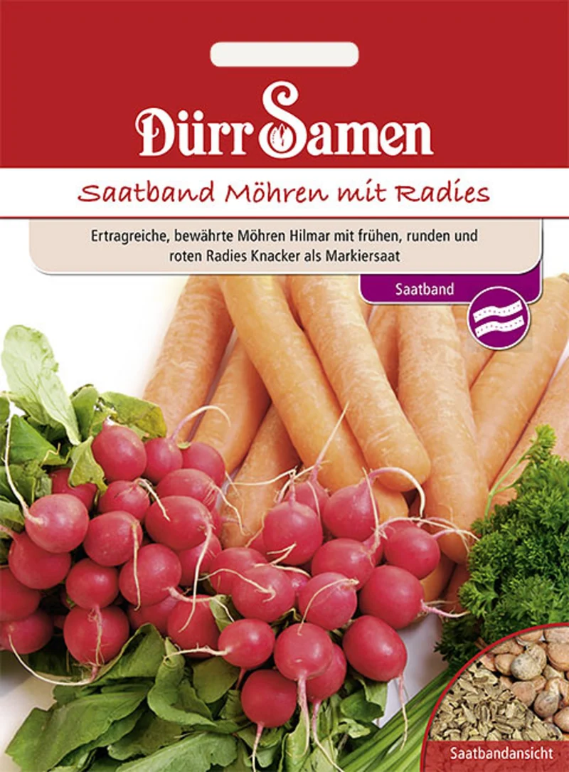 Saatband Möhren mit Radieschen