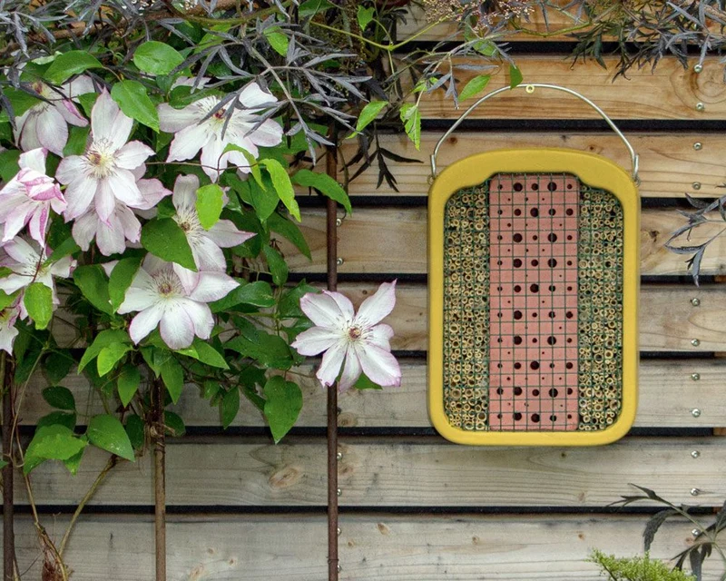 Insektennistwand