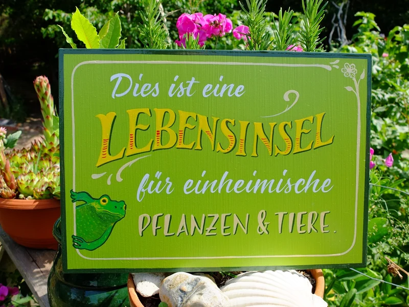Lebensinsel-Schild "Frosch" aus Holz