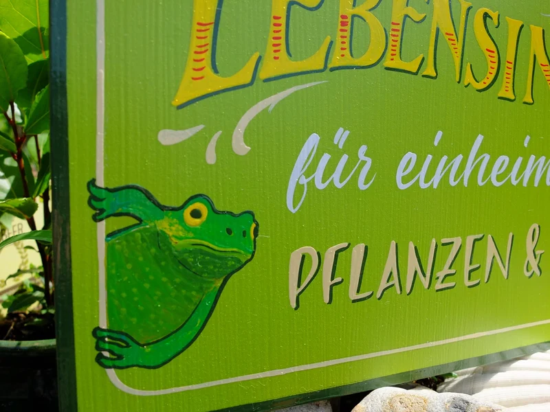 Lebensinsel-Schild "Frosch" aus Holz