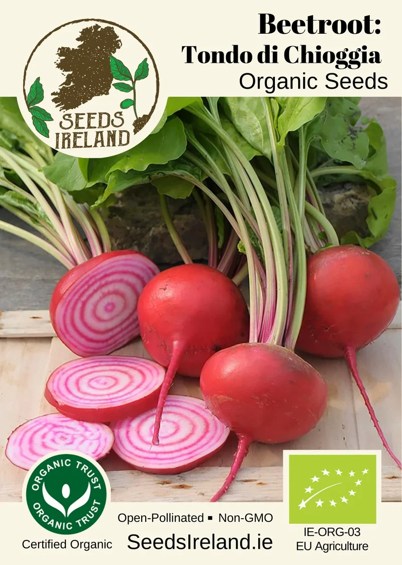 Beetroot: Tondo di Chioggia Organic Seed