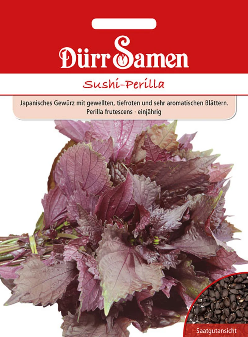 Sushi Perilla Saatgut