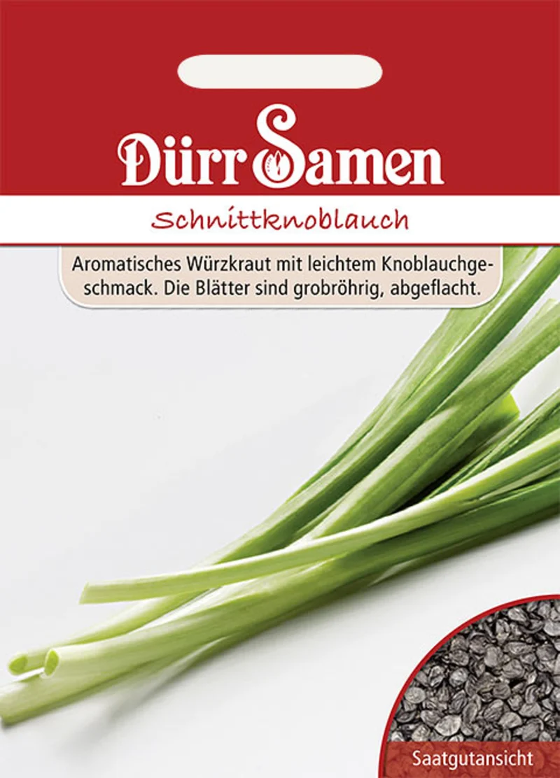 Schnittknoblauch Saatgut