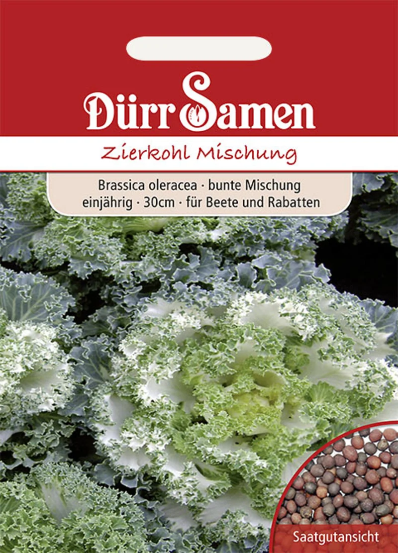 Zierkohl Bunte Mischung Saatgut