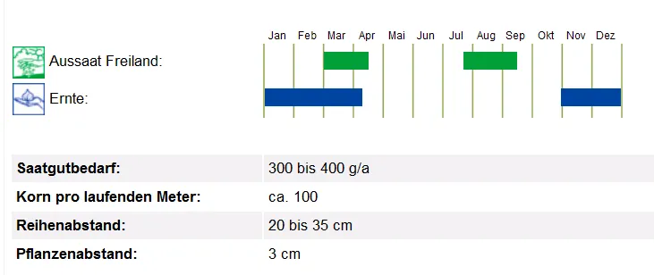 BIO Saatgut Spinat Verdil Winterriesen, bio-dyn Züchtung
