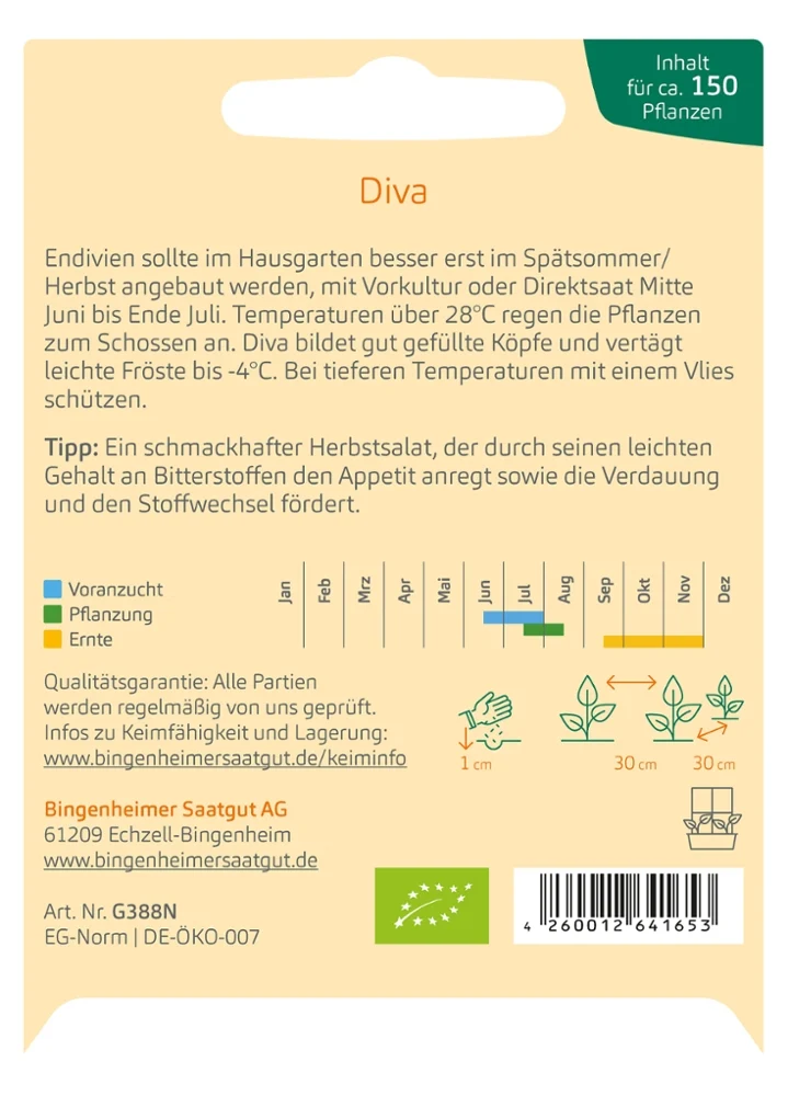 BIO Saatgut Endivie Mascha (Diva)