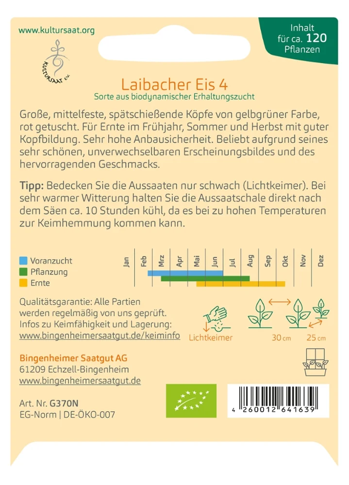 BIO Saatgut Eissalat Laibacher Eis 4