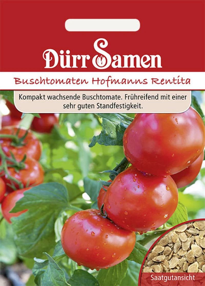 Buschtomate Hofmanns Rentita Saatgut