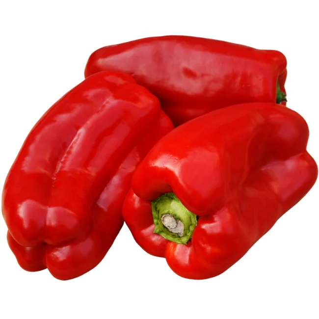 Pepper: Jubilandska - Red Bell Pepper Organic Seed