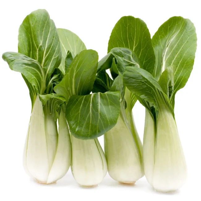 Pak Choi: Tai Sai Organic Seed