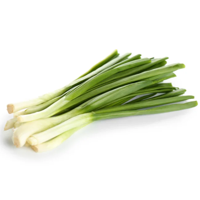 Spring Onion: Ishikura Organic Seed