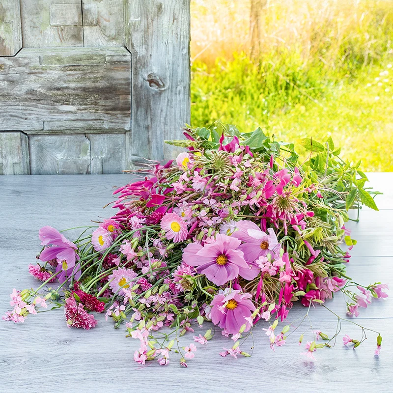 Blumenmischung - Pretty Pink
