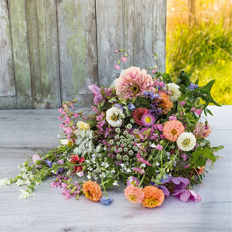 Blumenmischung - Stunning Pastel
