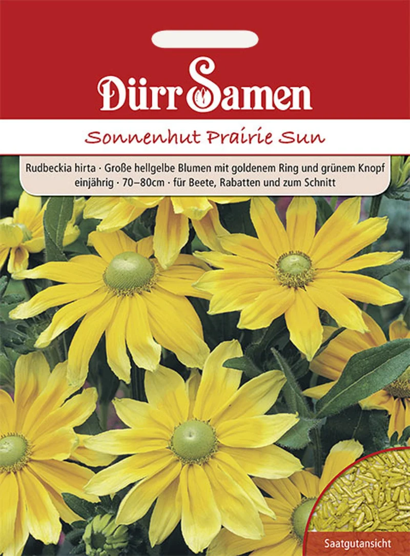 Sonnenhut Prairie Sun Saatgut