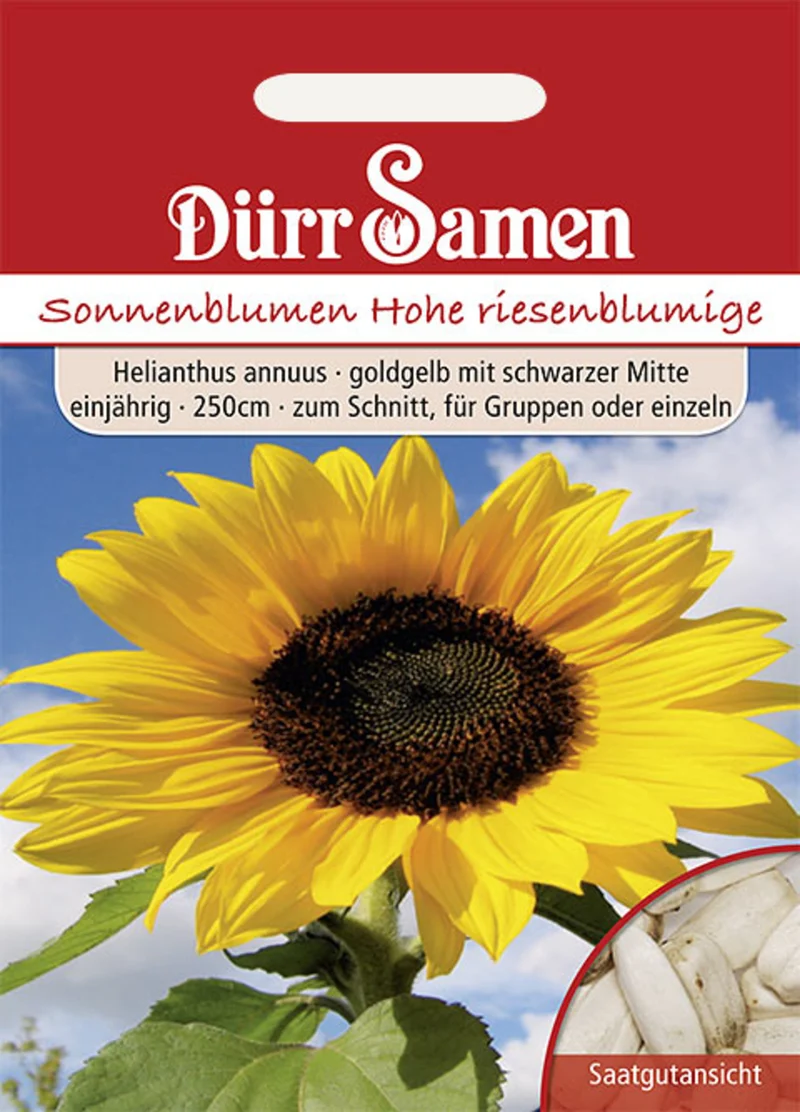 Sonnenblume Hohe Riesen Saatgut
