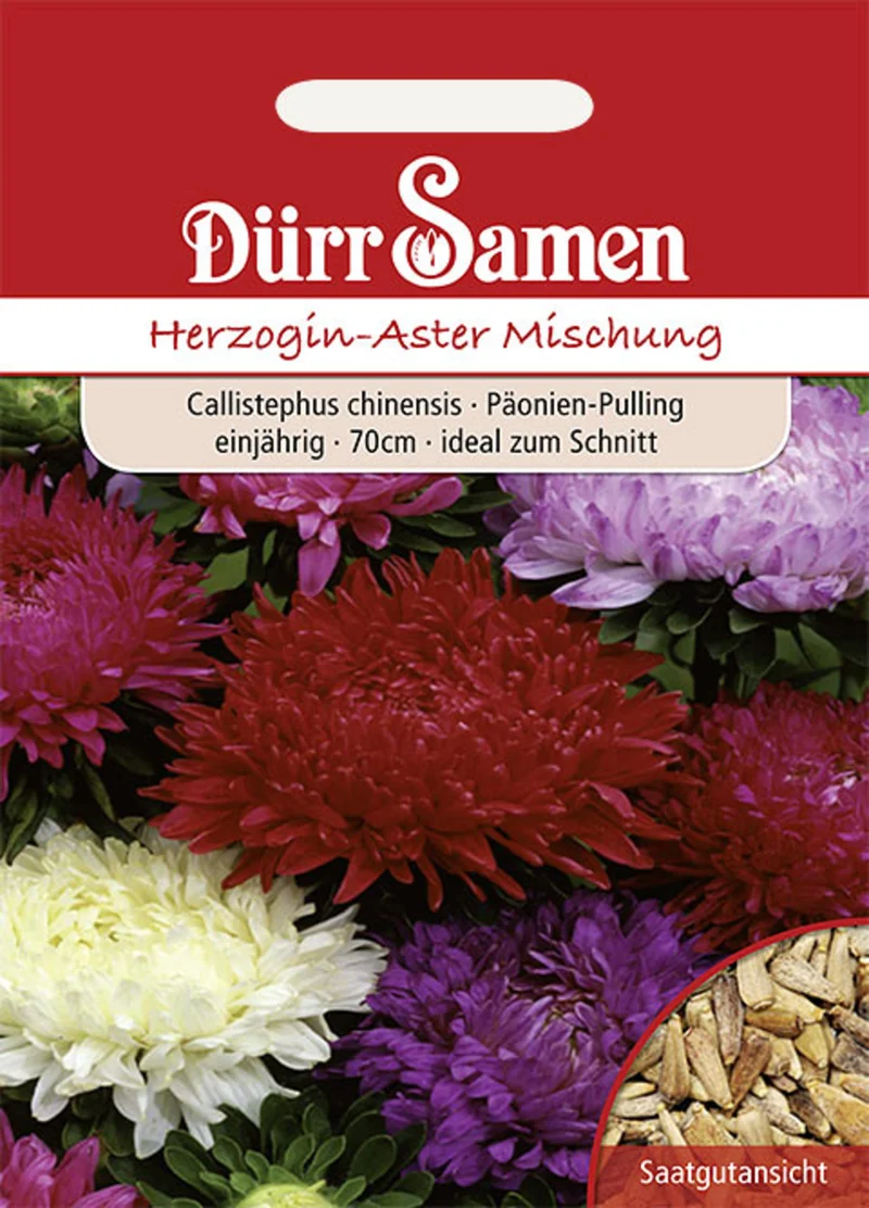 Herzogin Aster Prachtmischung Saatgut