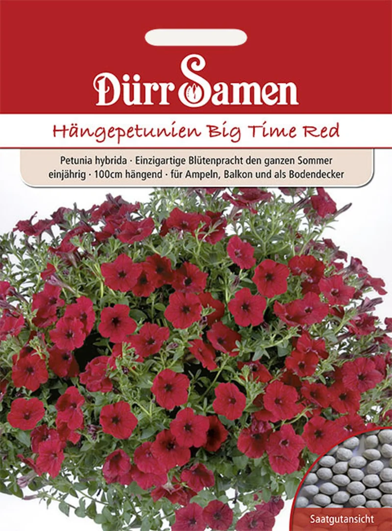 Petunie Big Time Red Saatgut