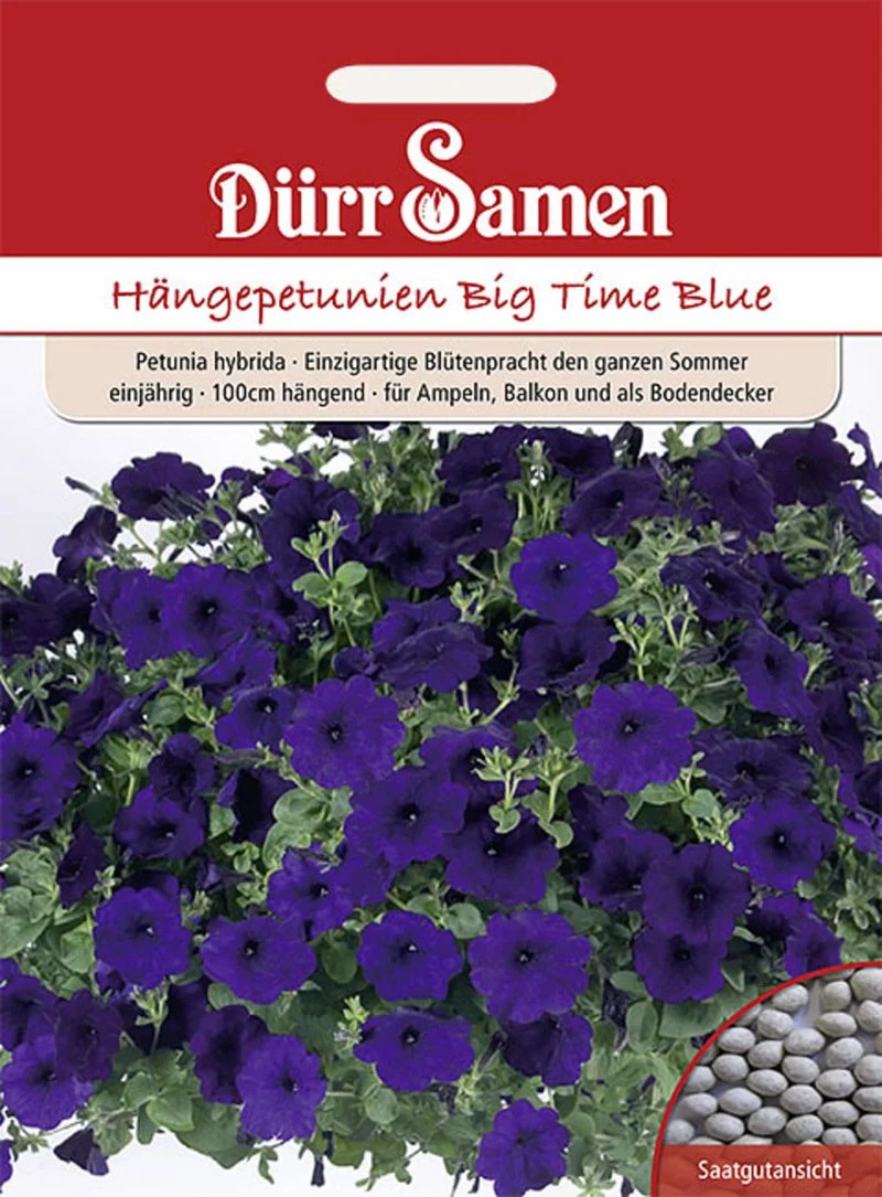 Petunie Big Time Blue Saatgut