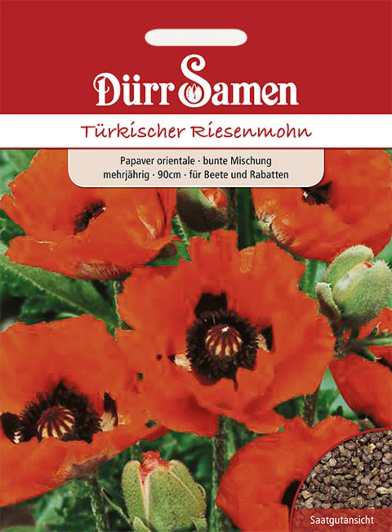 Türkischer Riesenmohn Saatgut